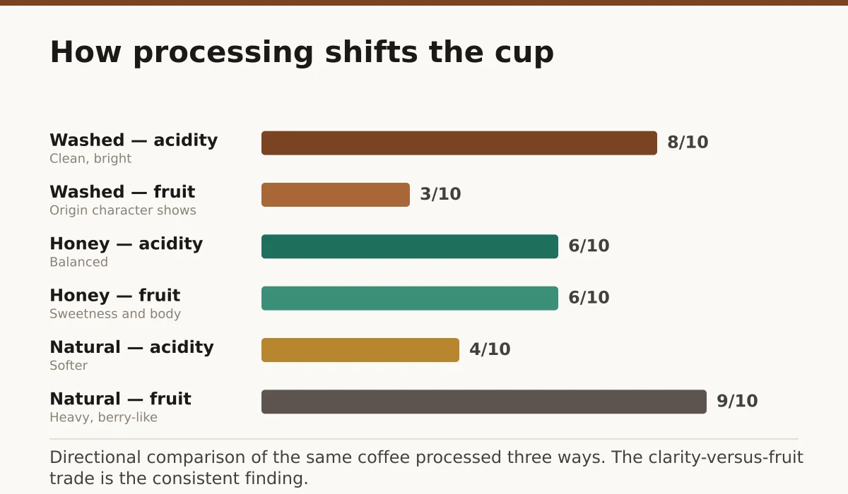 How processing shifts the cup. Washed — acidity: 8/10; Washed — fruit: 3/10; Honey — acidity: 6/10; Honey — fruit: 6/10; Natural — acidity: 4/10; Natural — fruit: 9/10.