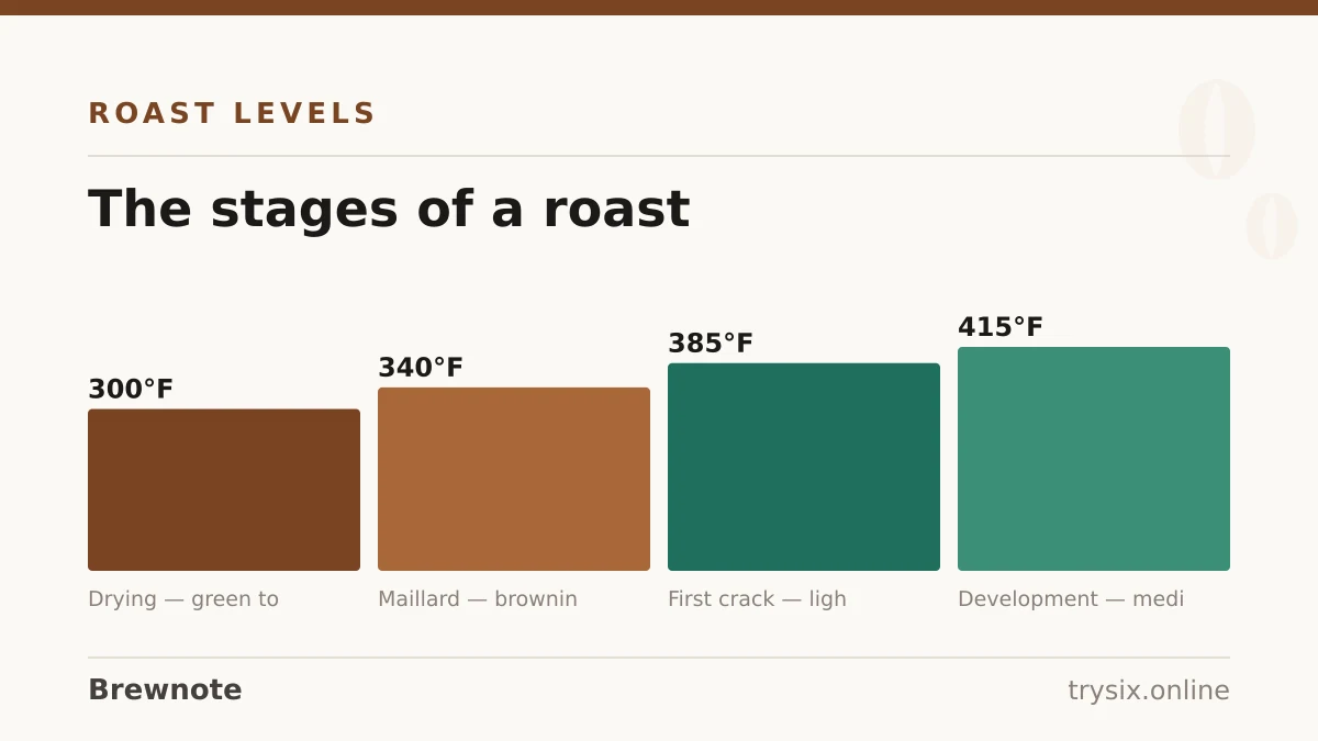 Chart from “How to Roast Coffee Beans at Home”: the stages of a roast