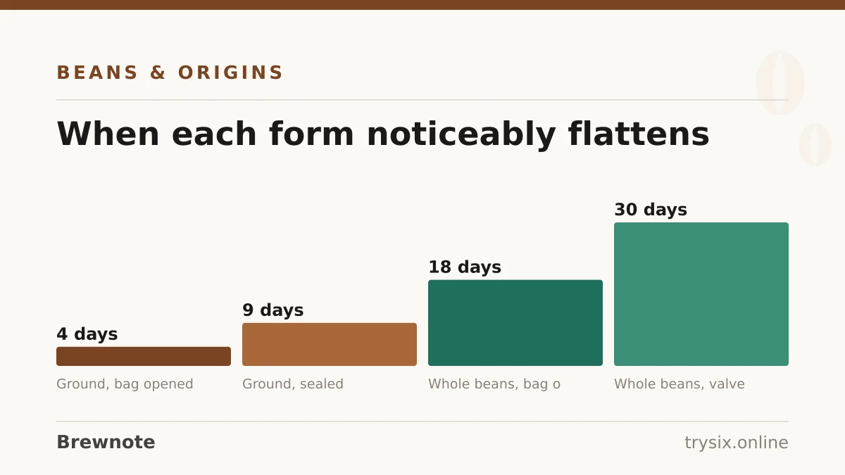 Chart from “How to Store Coffee Beans”: when each form noticeably flattens