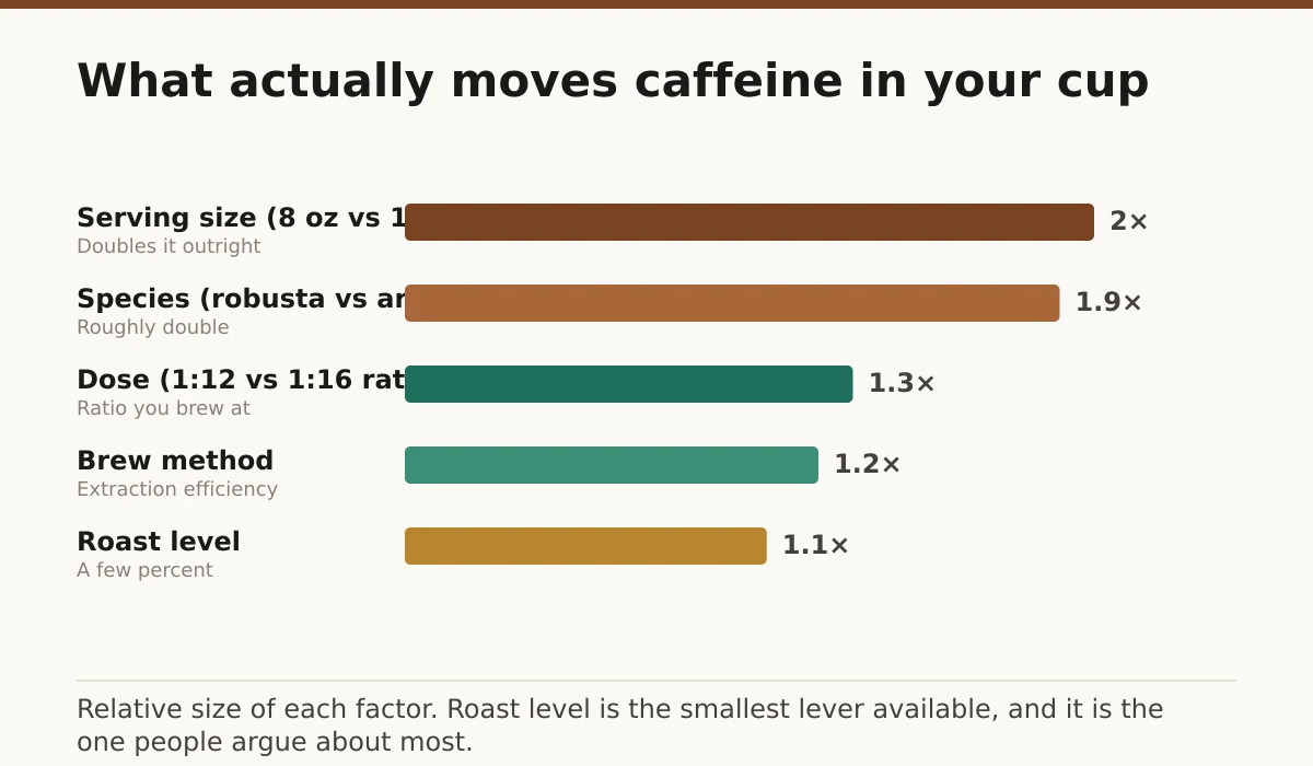 What actually moves caffeine in your cup. Serving size (8 oz vs 16 oz): 2×; Species (robusta vs arabica): 1.9×; Dose (1:12 vs 1:16 ratio): 1.3×; Brew method: 1.2×; Roast level: 1.05×.