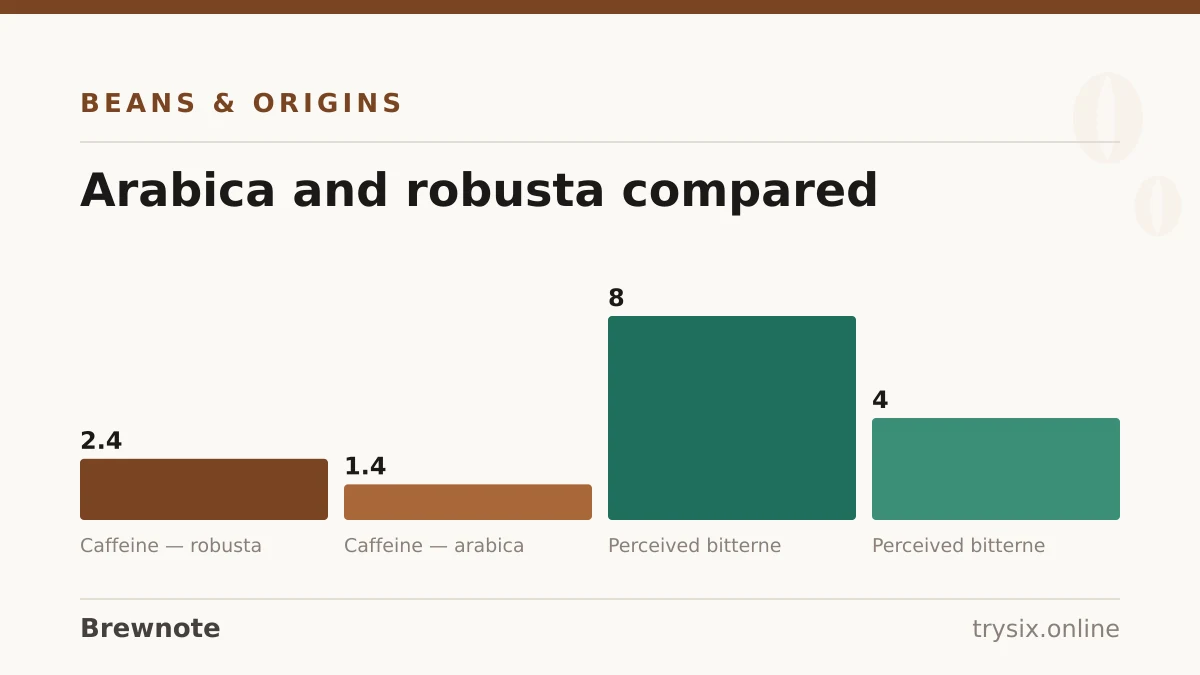 Chart from “Types of Coffee Beans Explained”: arabica and robusta compared