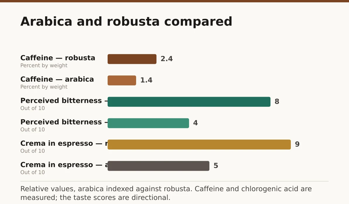 Arabica and robusta compared. Caffeine — robusta: 2.4; Caffeine — arabica: 1.4; Perceived bitterness — robusta: 8; Perceived bitterness — arabica: 4; Crema in espresso — robusta: 9; Crema in espresso — arabica: 5.