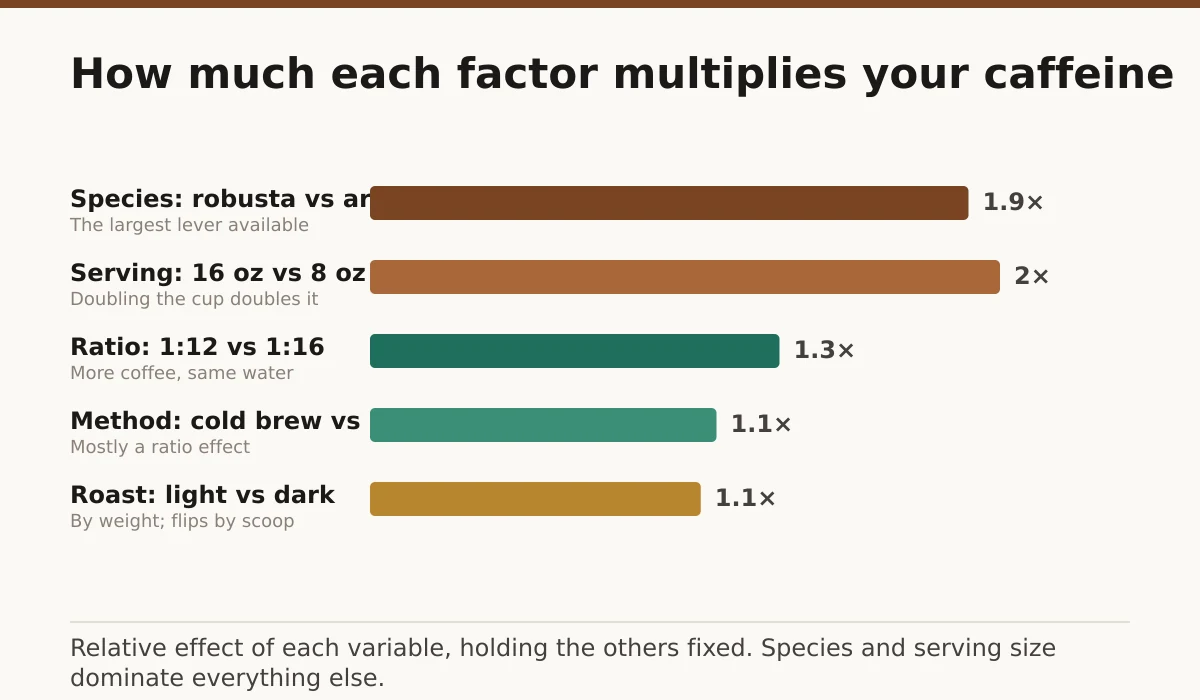 How much each factor multiplies your caffeine. Species: robusta vs arabica: 1.9×; Serving: 16 oz vs 8 oz: 2×; Ratio: 1:12 vs 1:16: 1.3×; Method: cold brew vs drip: 1.1×; Roast: light vs dark: 1.05×.