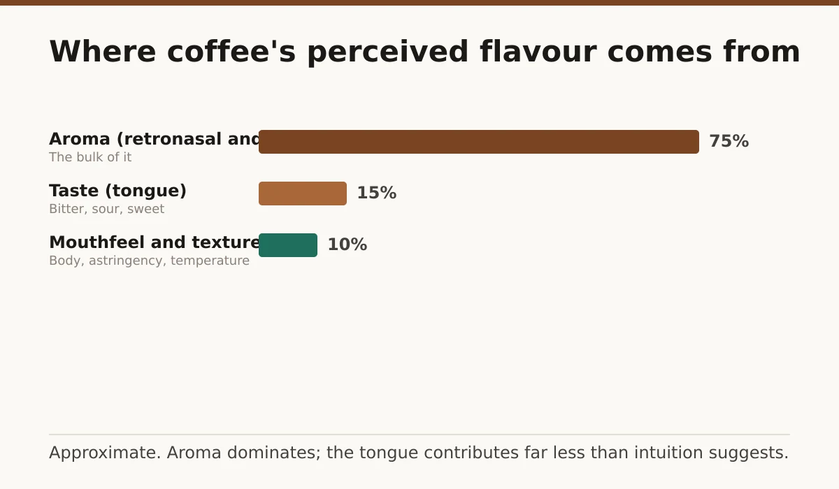 Where coffee's perceived flavour comes from. Aroma (retronasal and orthonasal): 75%; Taste (tongue): 15%; Mouthfeel and texture: 10%.