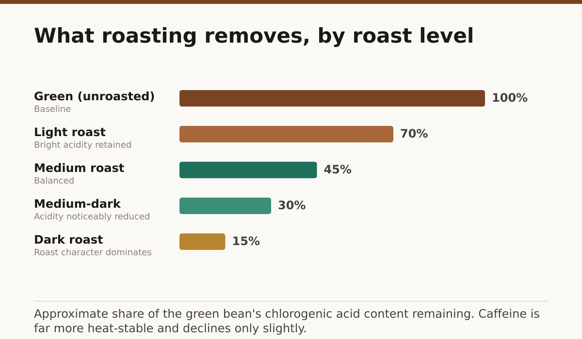 What roasting removes, by roast level. Green (unroasted): 100%; Light roast: 70%; Medium roast: 45%; Medium-dark: 30%; Dark roast: 15%.
