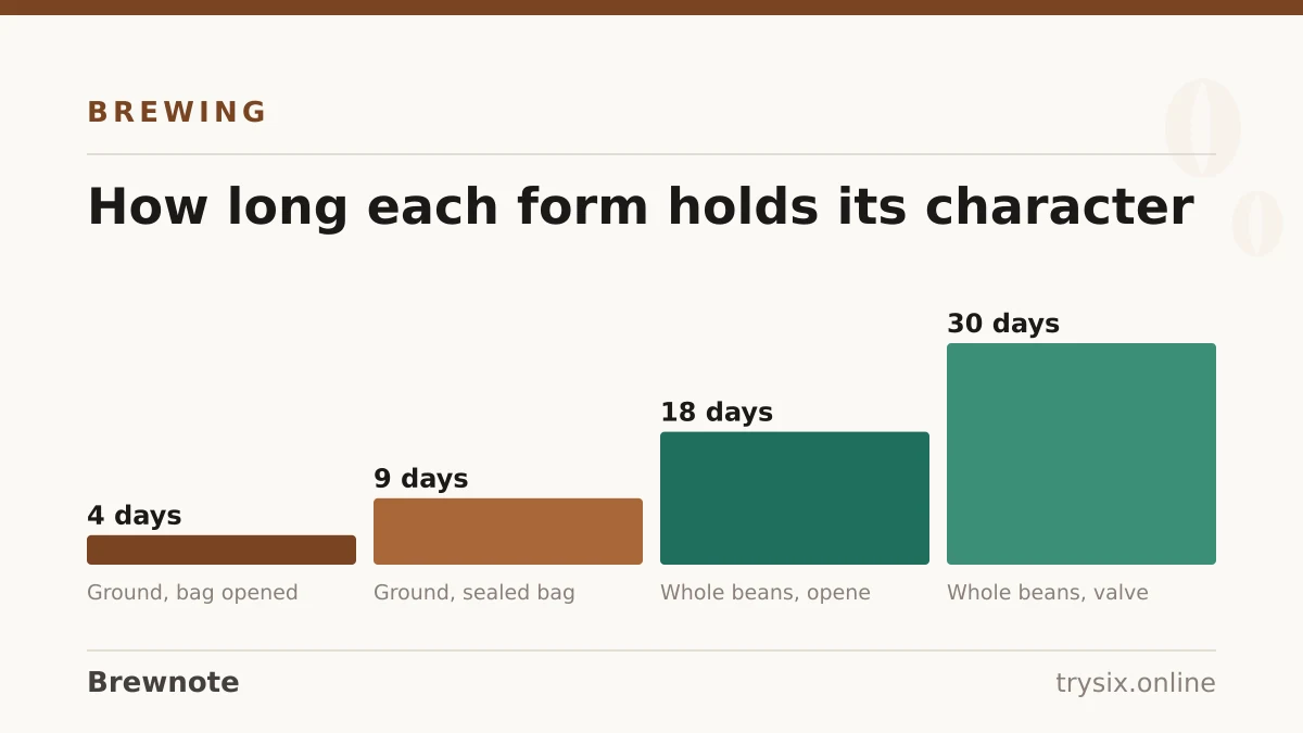 Chart from “What Is Ground Coffee?”: how long each form holds its character