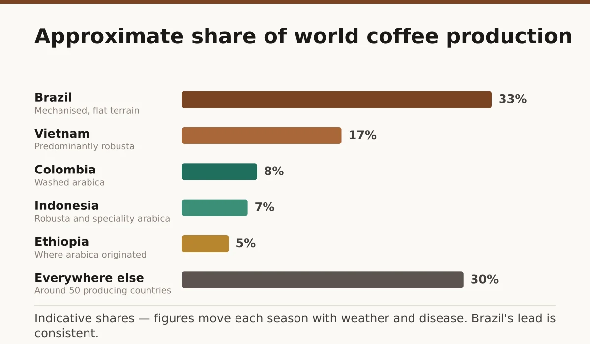 Approximate share of world coffee production. Brazil: 33%; Vietnam: 17%; Colombia: 8%; Indonesia: 7%; Ethiopia: 5%; Everywhere else: 30%.